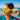 Adult Challenger Swim Goggles