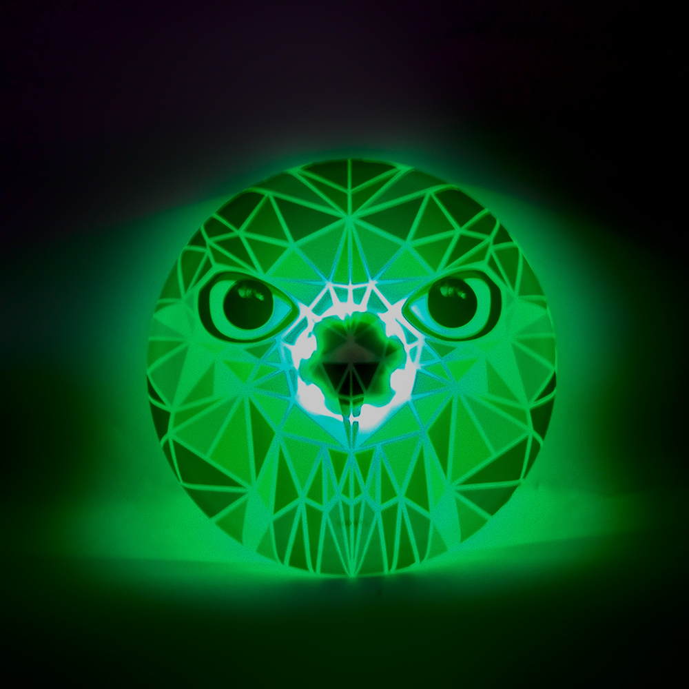 AirGlow LED Silicone Flying Disc