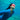 Adult Challenger Swim Goggles